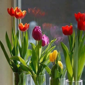 Meet your Posher, Katrina